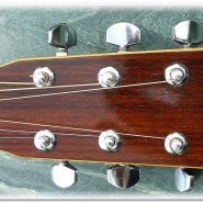 SW-35 Acoustic | Westone Guitars